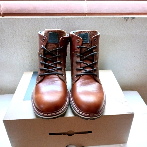 Bulllboxer - Picture 2 of 4